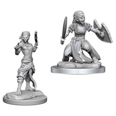 Nolzur's Marvelous Miniatures - Shifter Fighter (W20)